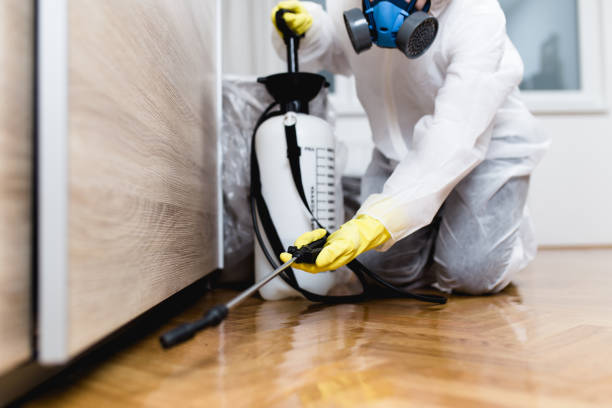 Best Residential Pest Control  in Kensington, NY