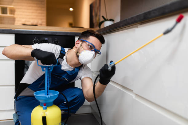 Best Affordable Pest Control Services  in Kensington, NY