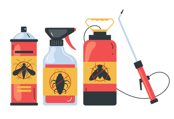 Trusted Kensington, NY Pest Control Experts