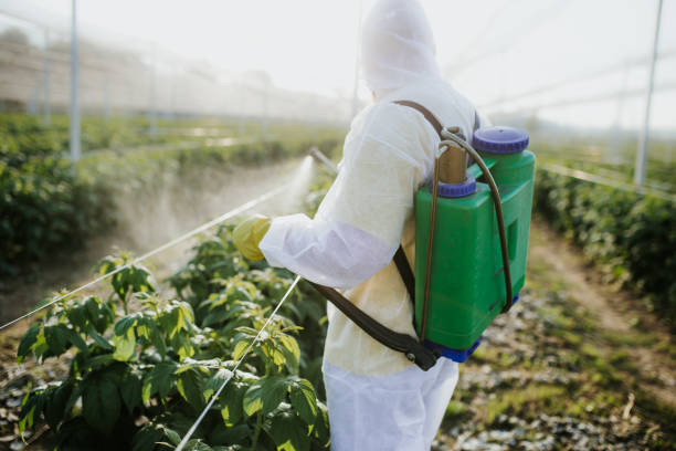 Best Local Pest Control Services  in Kensington, NY